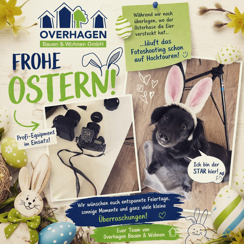 🐣🌷 Frohe Ostern vom Team der Overhagen Bauen & Wohnen GmbH!

📸 Unser Bürohund Scotty hat sich für Ostern schon mal...